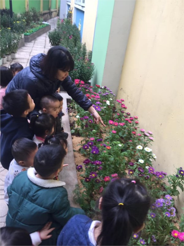 Các bạn nhỏ lớp D1 thích thú cùng nhau đi ngắm hoa xung quanh Trường học .